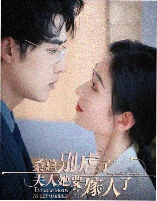 导演访谈资讯配图